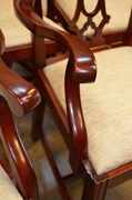 dining chairs polished 